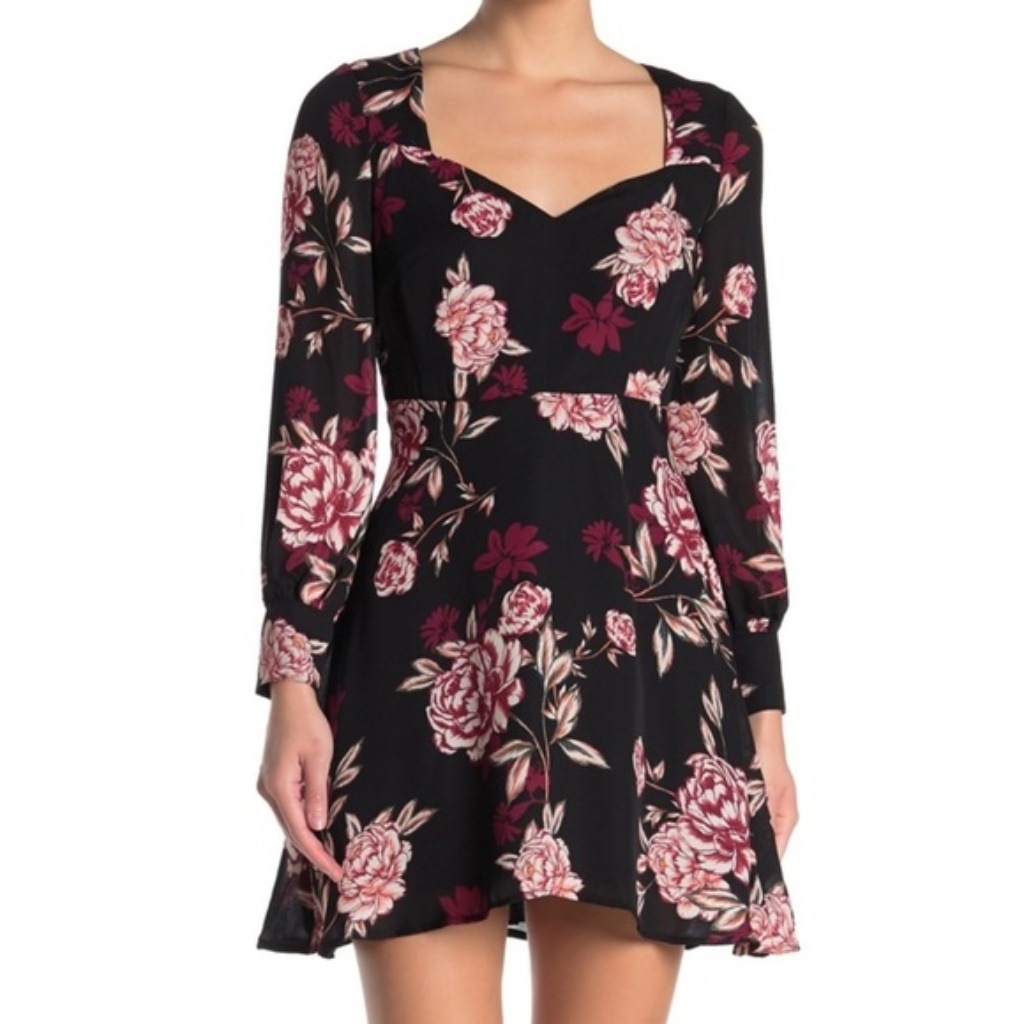 Nwt Cupcakes & Cashmere Jaylyn Festive Roses Floral Mini Dress Size 4